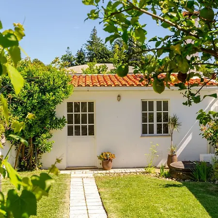 招待所 Portugal Active Bandeira Retreat 维亚纳堡