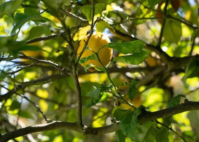 Portugal Active Bandeira Retreat 招待所 维亚纳堡