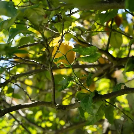 Portugal Active Bandeira Retreat Pensjonat Viana do Castelo