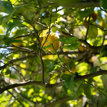 Portugal Active Bandeira Retreat Viana do Castelo